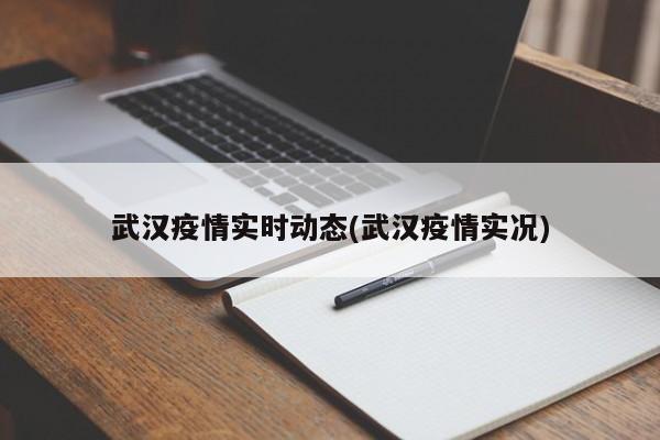 武汉疫情实时动态(武汉疫情实况)